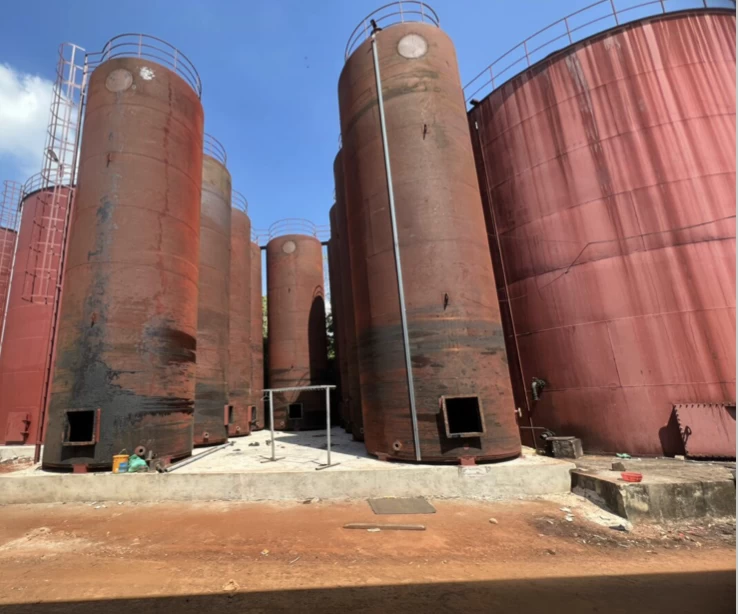 Project 2: NTH Cashew